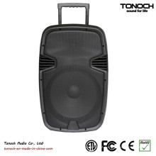 Altifalante PA de 15 polegadas DJ Speaker Club com bateria